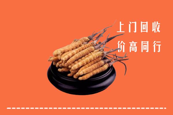 高价求购：肥乡区回收散虫草